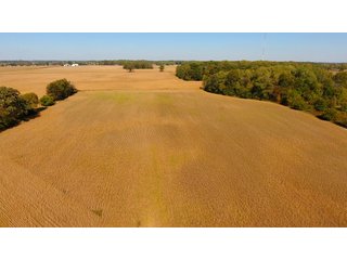 Property photo 9 - FARM AUCTION - 40+/- ACRES IN 3 TRACTS IN ST. JOSEPH CO., INDIANA